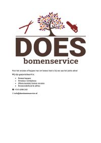 Does-Bomenservice